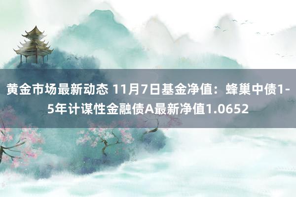 黄金市场最新动态 11月7日基金净值：蜂巢中债1-5年计谋性金融债A最新净值1.0652