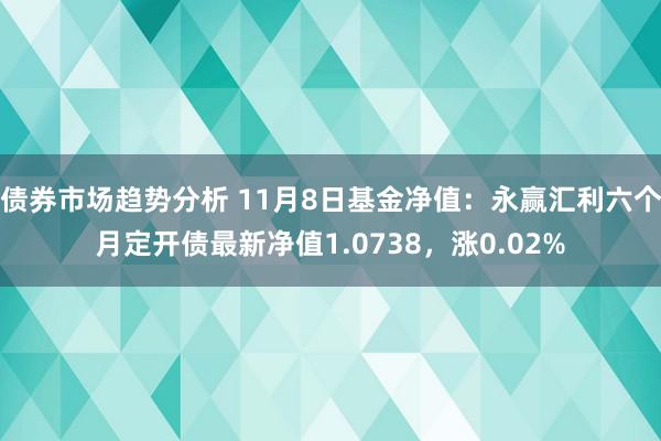 债券市场趋势分析 11月8日基金净值：永赢汇利六个月定开债最新净值1.0738，涨0.02%