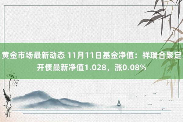 黄金市场最新动态 11月11日基金净值：祥瑞合聚定开债最新净值1.028，涨0.08%