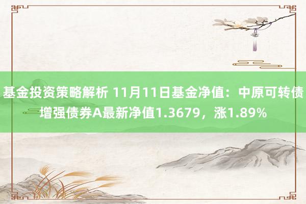 基金投资策略解析 11月11日基金净值：中原可转债增强债券A最新净值1.3679，涨1.89%