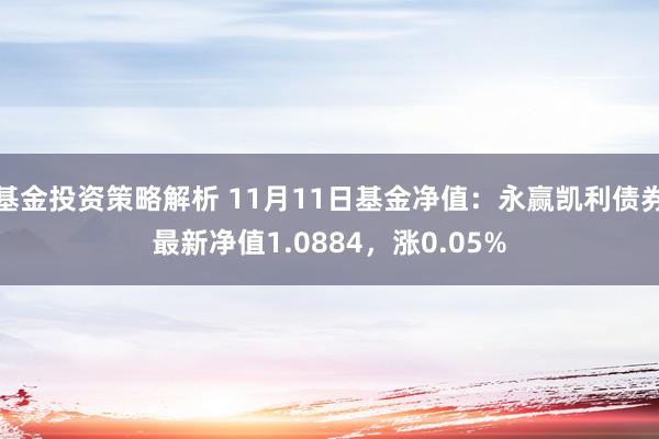 基金投资策略解析 11月11日基金净值：永赢凯利债券最新净值1.0884，涨0.05%