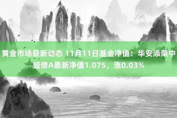 黄金市场最新动态 11月11日基金净值：华安添荣中短债A最新净值1.075，涨0.03%