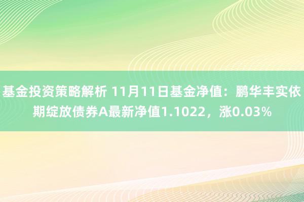 基金投资策略解析 11月11日基金净值：鹏华丰实依期绽放债券A最新净值1.1022，涨0.03%