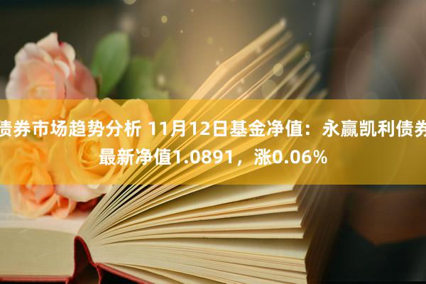 债券市场趋势分析 11月12日基金净值：永赢凯利债券最新净值1.0891，涨0.06%