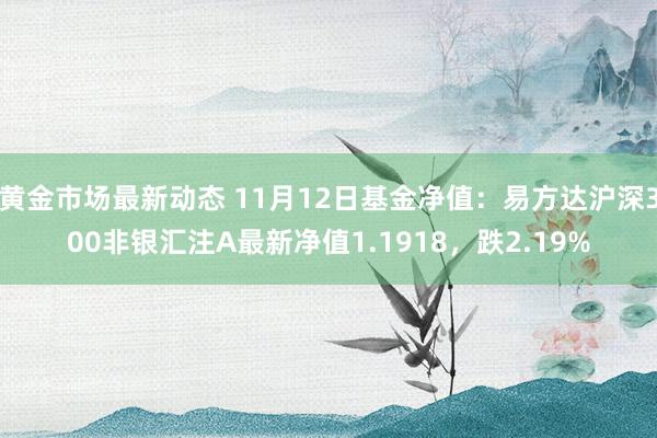 黄金市场最新动态 11月12日基金净值：易方达沪深300非银汇注A最新净值1.1918，跌2.19%