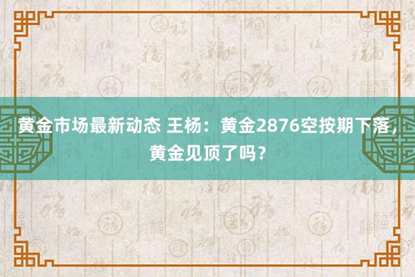 黄金市场最新动态 王杨：黄金2876空按期下落，黄金见顶了吗？