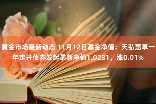 黄金市场最新动态 11月12日基金净值：天弘惠享一年定开债券发起最新净值1.0231，涨0.01%