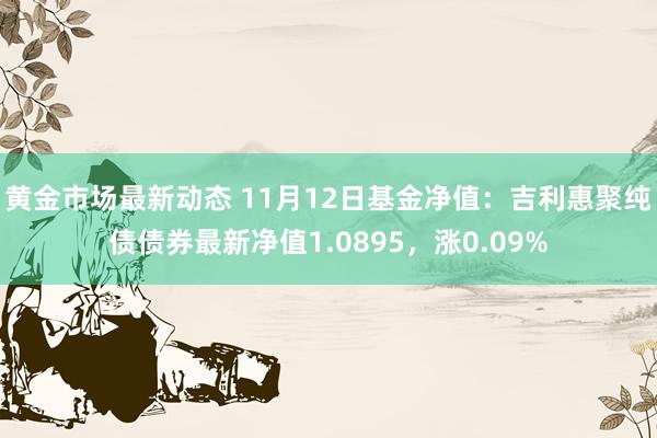 黄金市场最新动态 11月12日基金净值：吉利惠聚纯债债券最新净值1.0895，涨0.09%