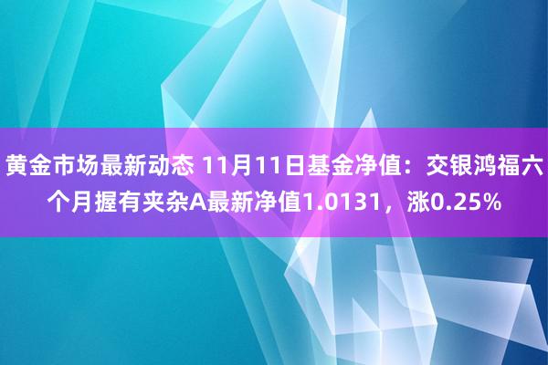 黄金市场最新动态 11月11日基金净值：交银鸿福六个月握有夹杂A最新净值1.0131，涨0.25%