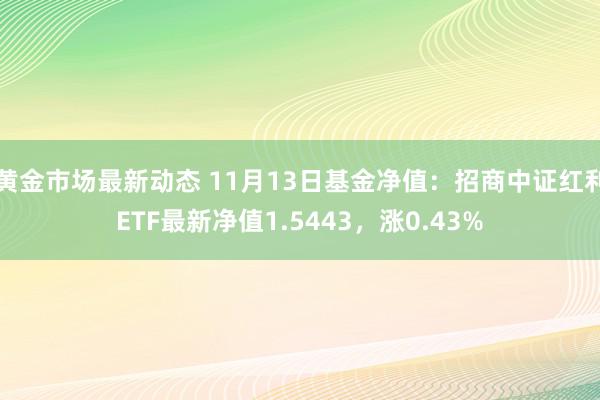 黄金市场最新动态 11月13日基金净值：招商中证红利ETF最新净值1.5443，涨0.43%