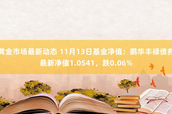 黄金市场最新动态 11月13日基金净值：鹏华丰禄债券最新净值1.0541，跌0.06%