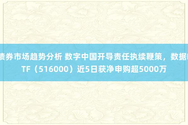 债券市场趋势分析 数字中国开导责任执续鞭策，数据ETF（516000）近5日获净申购超5000万