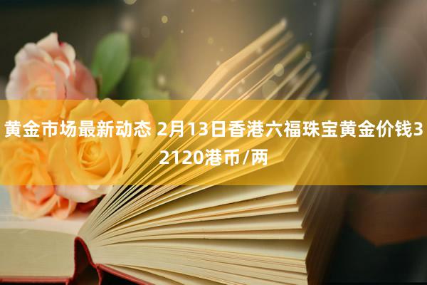 黄金市场最新动态 2月13日香港六福珠宝黄金价钱32120港币/两