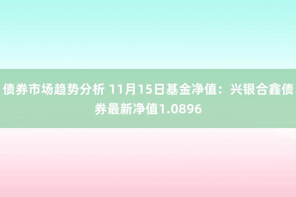 债券市场趋势分析 11月15日基金净值：兴银合鑫债券最新净值1.0896