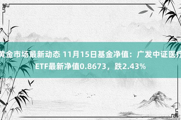 黄金市场最新动态 11月15日基金净值：广发中证医疗ETF最新净值0.8673，跌2.43%