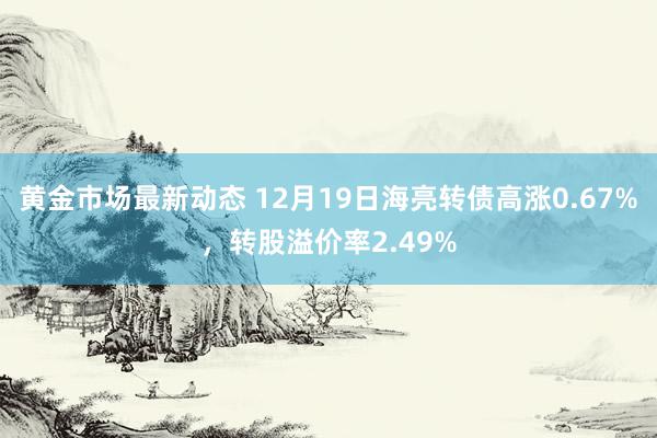 黄金市场最新动态 12月19日海亮转债高涨0.67%，转股溢价率2.49%