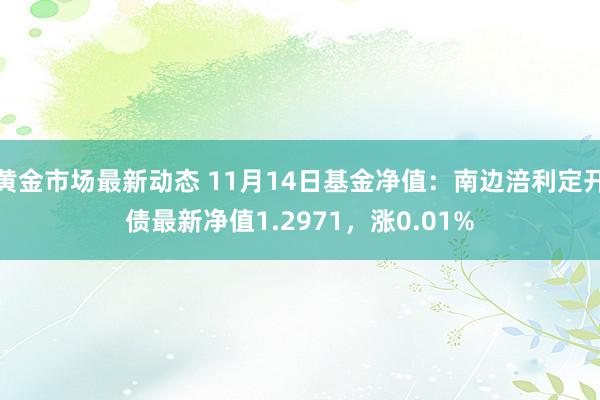 黄金市场最新动态 11月14日基金净值：南边涪利定开债最新净值1.2971，涨0.01%