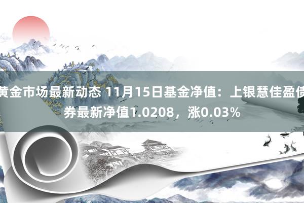 黄金市场最新动态 11月15日基金净值：上银慧佳盈债券最新净值1.0208，涨0.03%