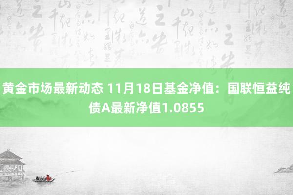 黄金市场最新动态 11月18日基金净值：国联恒益纯债A最新净值1.0855