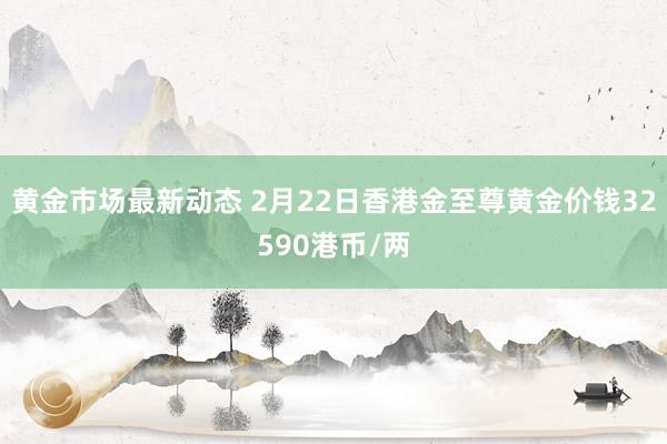 黄金市场最新动态 2月22日香港金至尊黄金价钱32590港币/两