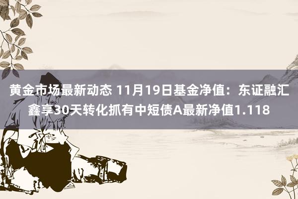 黄金市场最新动态 11月19日基金净值：东证融汇鑫享30天转化抓有中短债A最新净值1.118