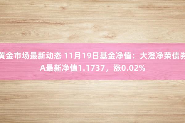 黄金市场最新动态 11月19日基金净值：大澄净荣债券A最新净值1.1737，涨0.02%