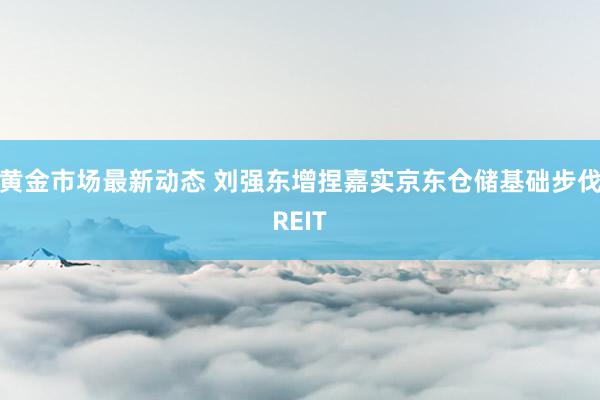 黄金市场最新动态 刘强东增捏嘉实京东仓储基础步伐REIT