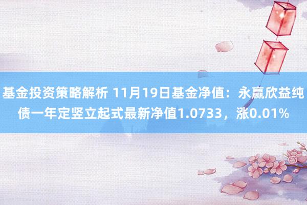 基金投资策略解析 11月19日基金净值：永赢欣益纯债一年定竖立起式最新净值1.0733，涨0.01%