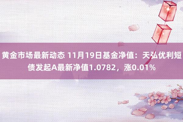 黄金市场最新动态 11月19日基金净值：天弘优利短债发起A最新净值1.0782，涨0.01%