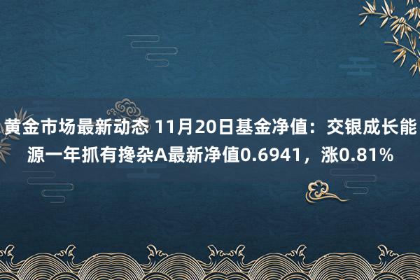 黄金市场最新动态 11月20日基金净值：交银成长能源一年抓有搀杂A最新净值0.6941，涨0.81%