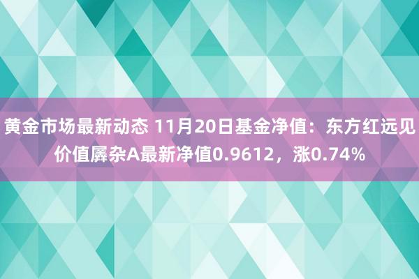 黄金市场最新动态 11月20日基金净值：东方红远见价值羼杂A最新净值0.9612，涨0.74%