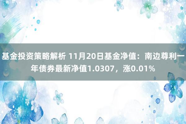 基金投资策略解析 11月20日基金净值：南边尊利一年债券最新净值1.0307，涨0.01%