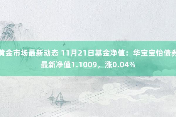 黄金市场最新动态 11月21日基金净值：华宝宝怡债券最新净值1.1009，涨0.04%