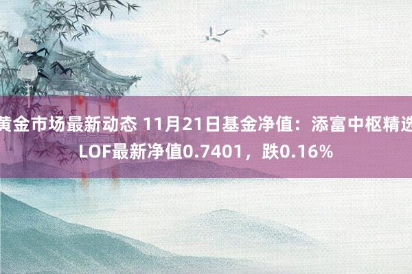 黄金市场最新动态 11月21日基金净值：添富中枢精选LOF最新净值0.7401，跌0.16%