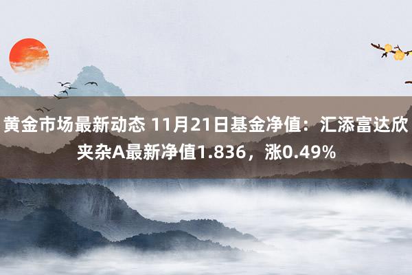 黄金市场最新动态 11月21日基金净值：汇添富达欣夹杂A最新净值1.836，涨0.49%