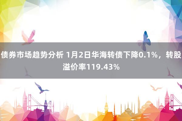 债券市场趋势分析 1月2日华海转债下降0.1%，转股溢价率119.43%