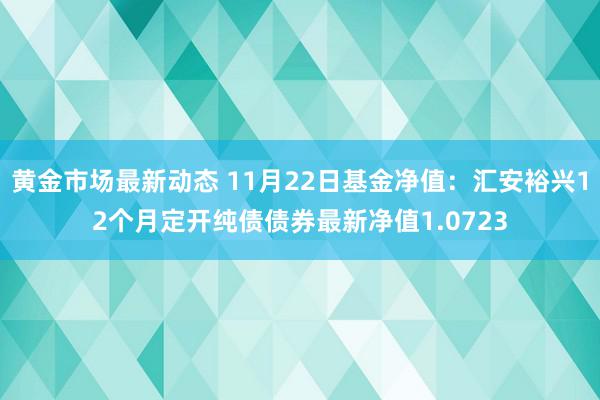 黄金市场最新动态 11月22日基金净值：汇安裕兴12个月定开纯债债券最新净值1.0723