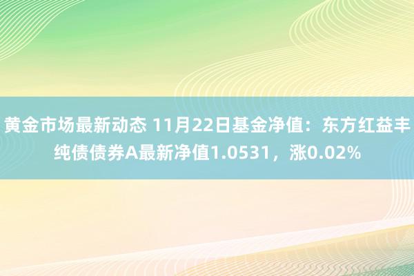 黄金市场最新动态 11月22日基金净值：东方红益丰纯债债券A最新净值1.0531，涨0.02%