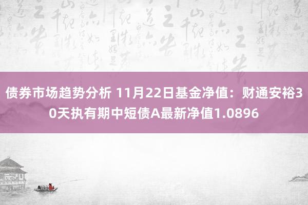 债券市场趋势分析 11月22日基金净值：财通安裕30天执有期中短债A最新净值1.0896