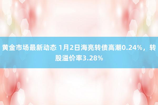 黄金市场最新动态 1月2日海亮转债高潮0.24%，转股溢价率3.28%