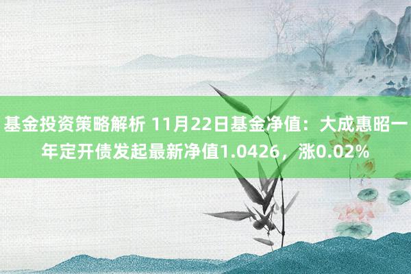 基金投资策略解析 11月22日基金净值：大成惠昭一年定开债发起最新净值1.0426，涨0.02%