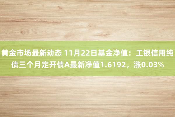 黄金市场最新动态 11月22日基金净值：工银信用纯债三个月定开债A最新净值1.6192，涨0.03%