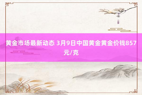 黄金市场最新动态 3月9日中国黄金黄金价钱857元/克