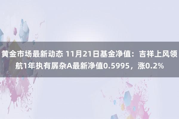 黄金市场最新动态 11月21日基金净值：吉祥上风领航1年执有羼杂A最新净值0.5995，涨0.2%