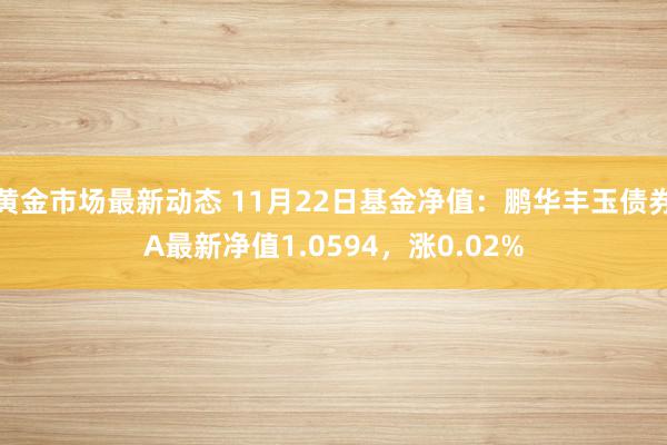 黄金市场最新动态 11月22日基金净值：鹏华丰玉债券A最新净值1.0594，涨0.02%