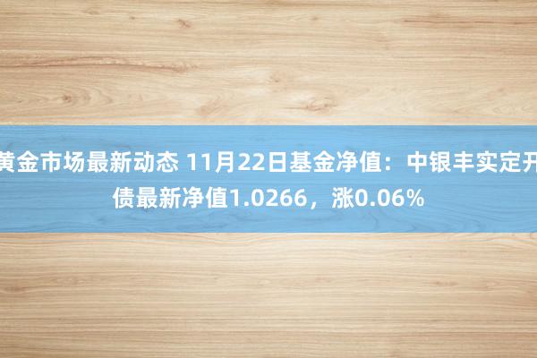 黄金市场最新动态 11月22日基金净值：中银丰实定开债最新净值1.0266，涨0.06%