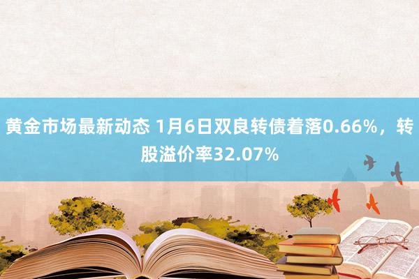 黄金市场最新动态 1月6日双良转债着落0.66%，转股溢价率32.07%