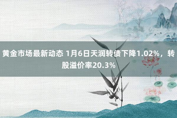 黄金市场最新动态 1月6日天润转债下降1.02%，转股溢价率20.3%