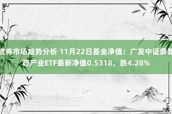 债券市场趋势分析 11月22日基金净值：广发中证鼎新药产业ETF最新净值0.5318，跌4.28%