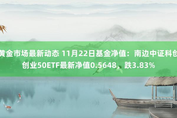 黄金市场最新动态 11月22日基金净值：南边中证科创创业50ETF最新净值0.5648，跌3.83%